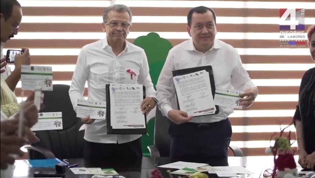 Evidencia institucional vinculada con cultura de donación de órganos y tejidos
