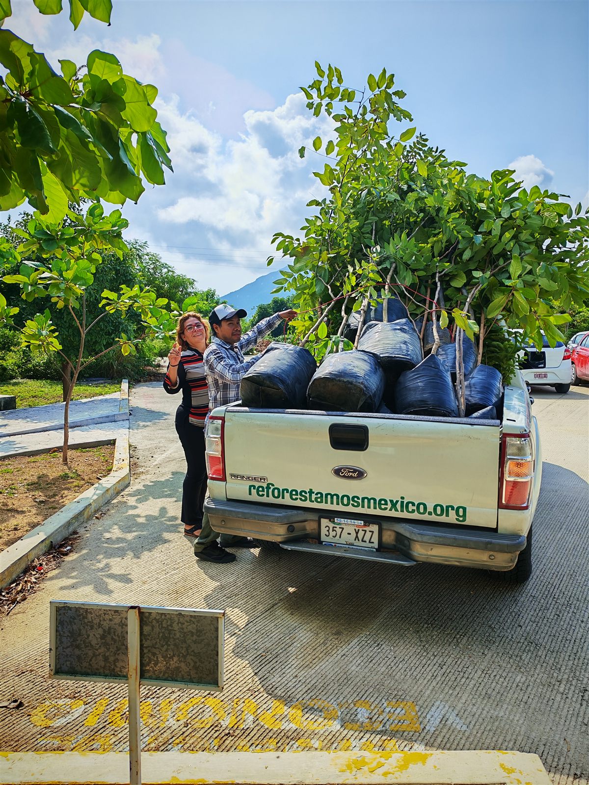 Entrega de árboles para acción comunitaria y ambiental